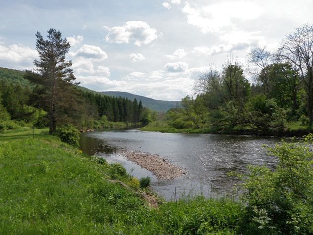View of the East Branch of the Delaware River